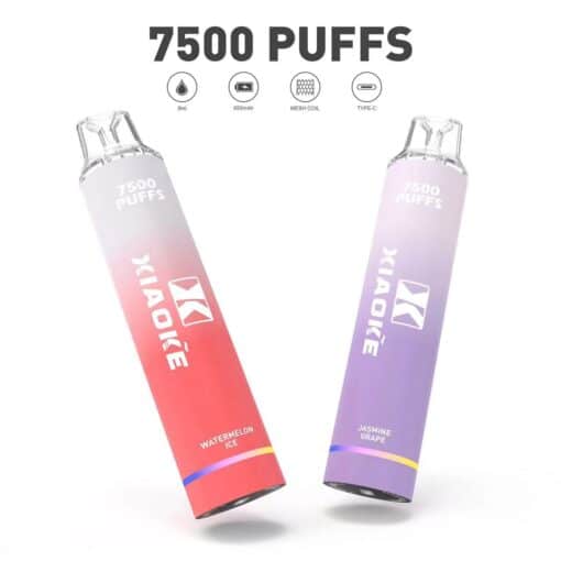 XIAOKE 7500 PUFFS 梟客棄式抛電子烟 一次性霧化桿 炫酷跑馬燈：圖片 4
