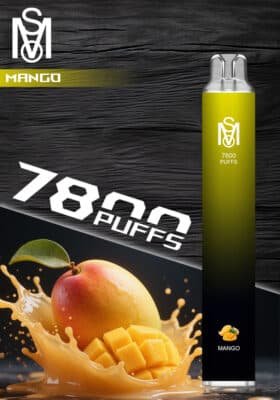 爅嘶一次性電子煙